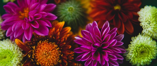 新的高度 新的高度