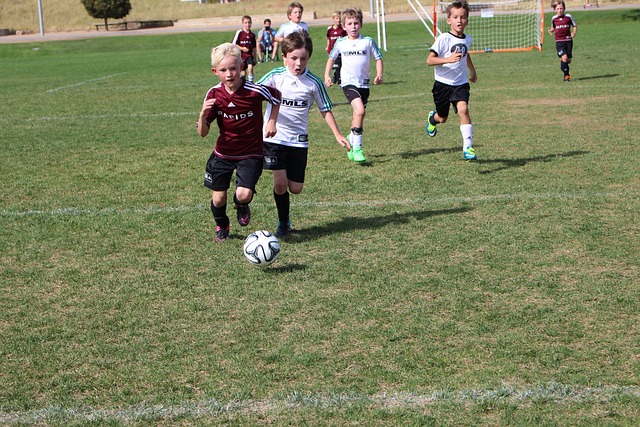 不仅是一场 不仅是一场