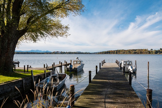 也需要社会 也需要社会
