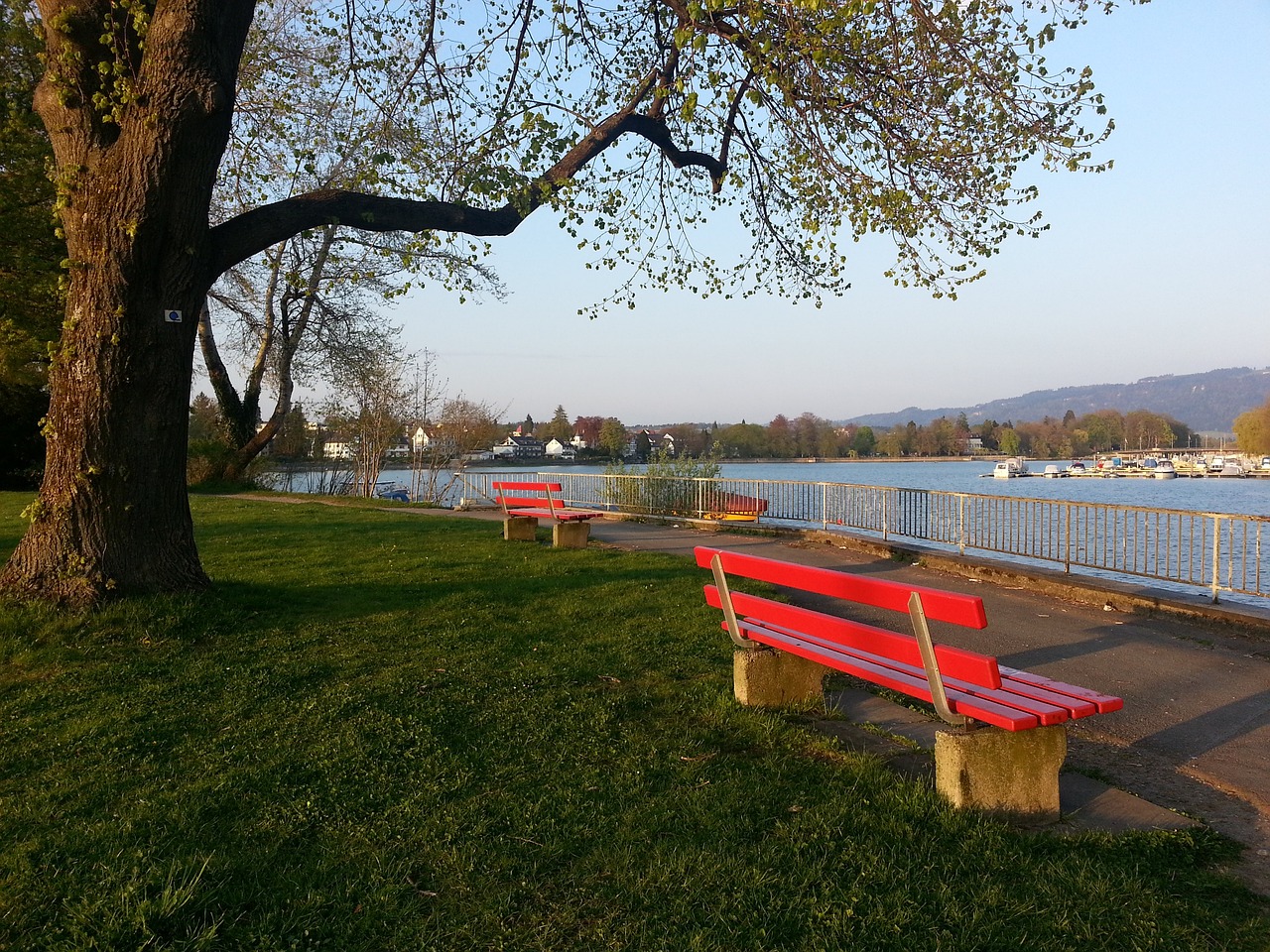 雄在无声中 雄在无声中