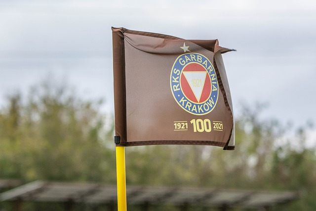 继续稳居助 继续稳居助