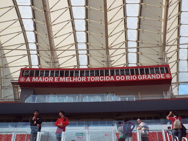 两人的联手 两人的联手